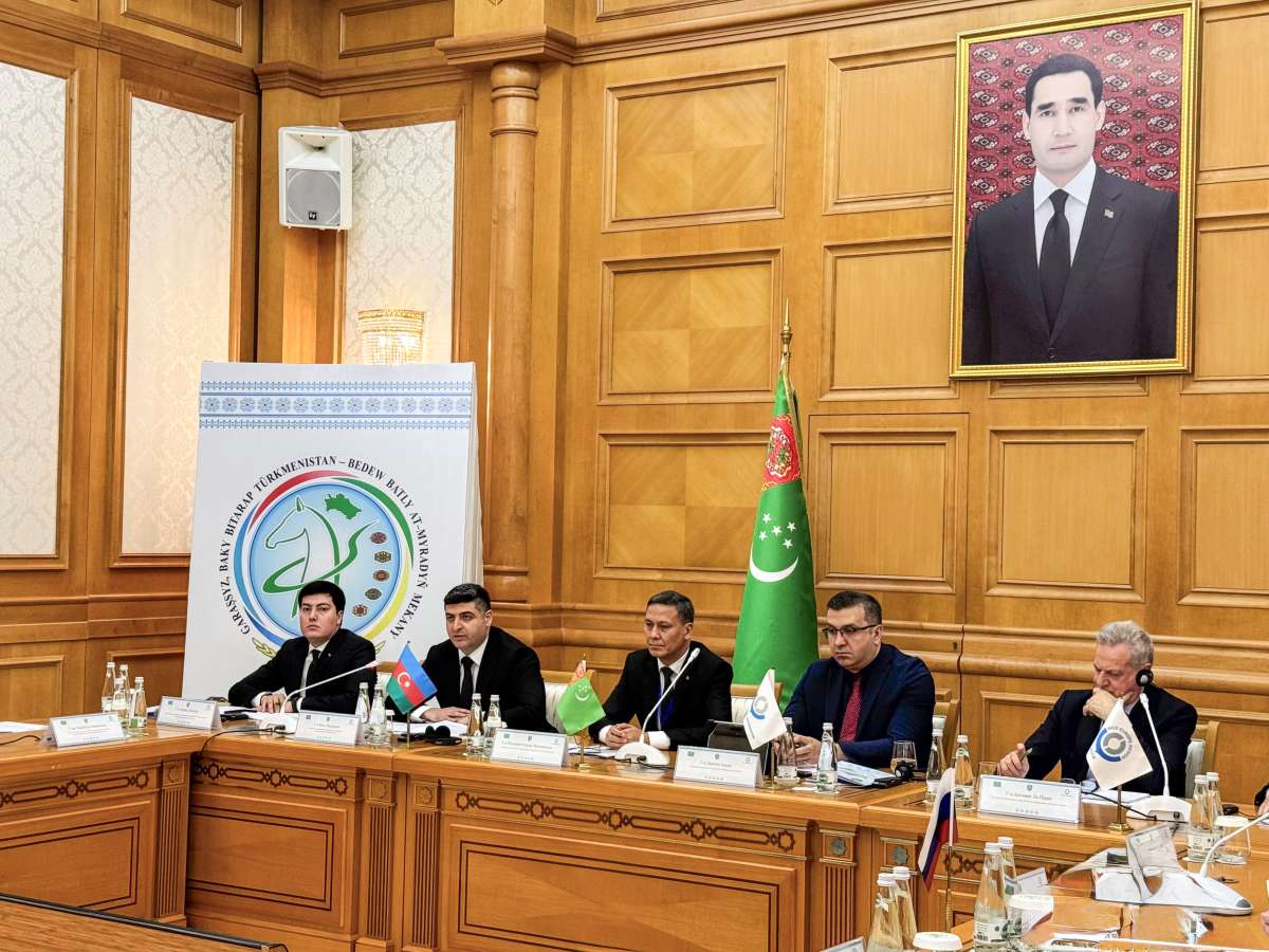 Azərbaycan nümayəndə heyəti Aşqabadda keçirilən ÜGT-nin regional təlim mərkəzləri ilə bağlı seminarda iştirak edib Xeber basligi